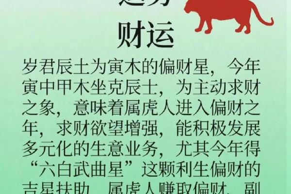 属虎人今年运势2026年有哪些注意事项?