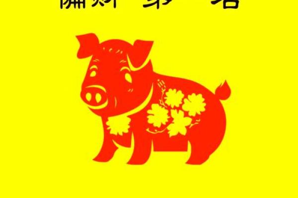 2026年生肖猪运势如何？精准解读助你行好运