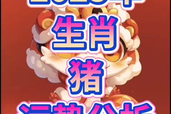 2026年生肖猪运势如何？精准解读助你行好运
