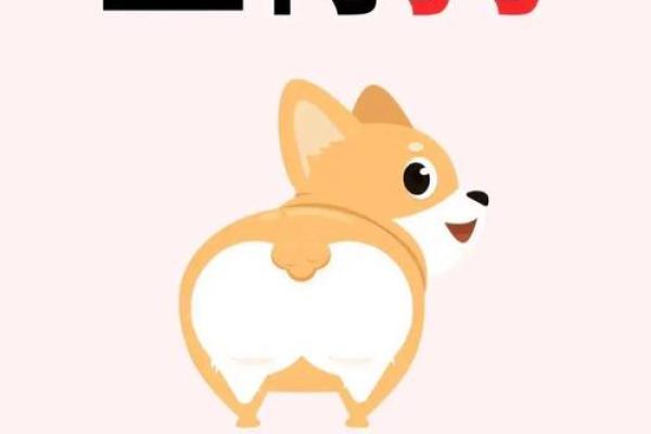 属狗的命中贵人是谁？揭秘助你转运的生肖贵人