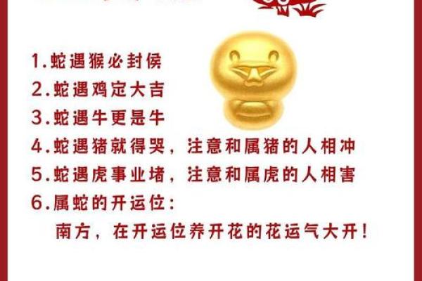 属蛇2026本命年运势如何？事业财运详解