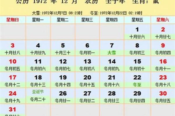 属鼠的今年多大？2024年年龄对照表速查