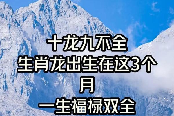 属龙人2026年财运走势，今年如何提升？