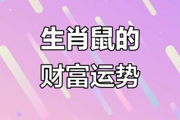 1972年属鼠人2026年运势如何？事业财运详解