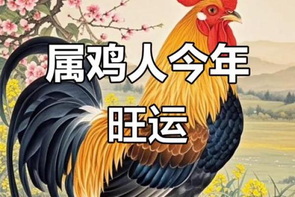 属鸡人2024年运势如何？事业财运全面解析