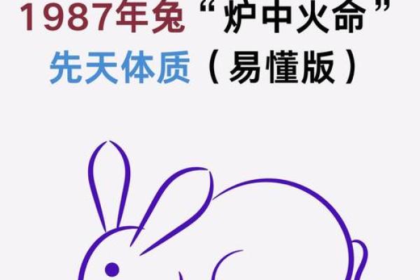 1987属兔的发财数字有哪些？助你提升财运
