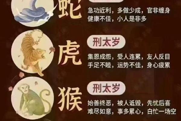 属龙人2026年事业运如何?关键月份提醒