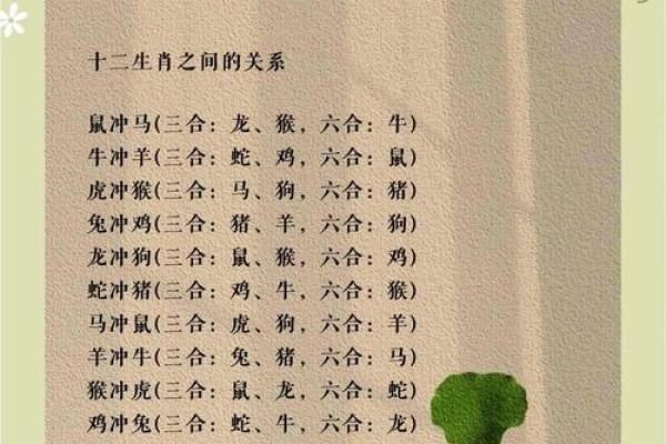 属鸡的六个合生肖贵人有哪些？助你运势飙升