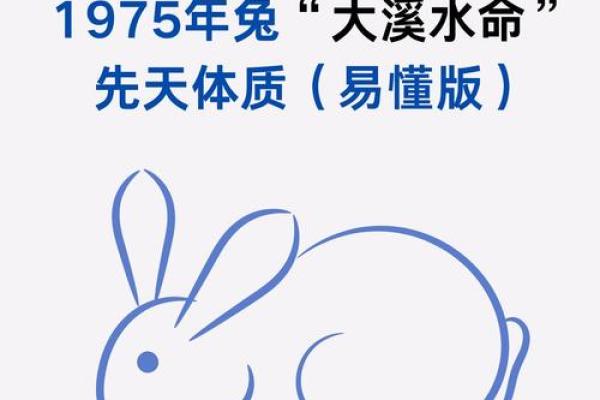 1975年属兔男每月运势如何？全年运程详解