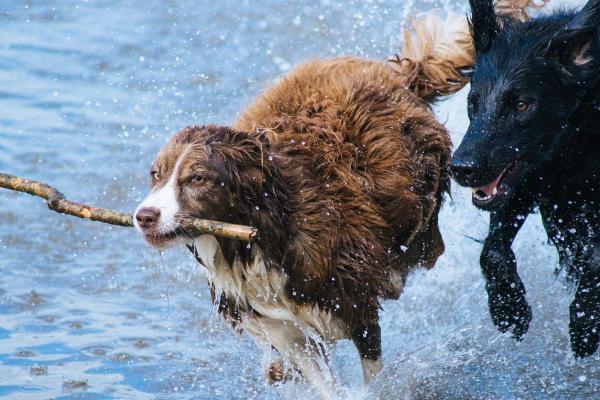 1975年属兔人寿命预测，实用对照表来了