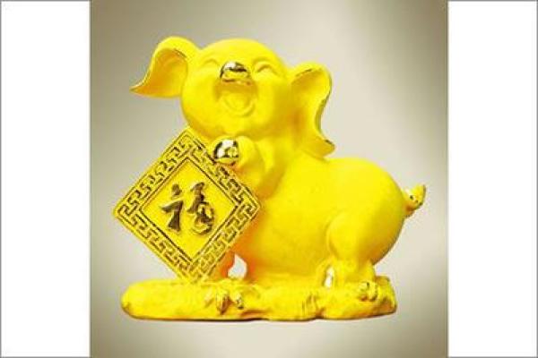 2007属猪男孩学业运如何？提升成绩必看