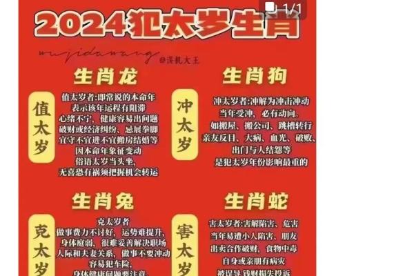 2024属猪犯太岁如何破解？简单有效3步法