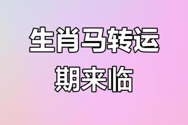 属马2026年运势如何？事业财运全面解析
