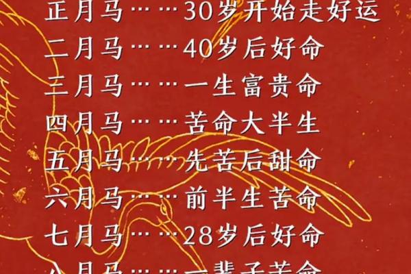 属马2026年运势如何？事业财运全面解析