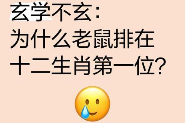 1972年属鼠五行属什么？一文看懂命理玄机