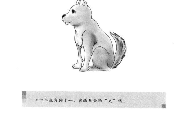 属狗人2026年运势好吗？每月吉凶早知道