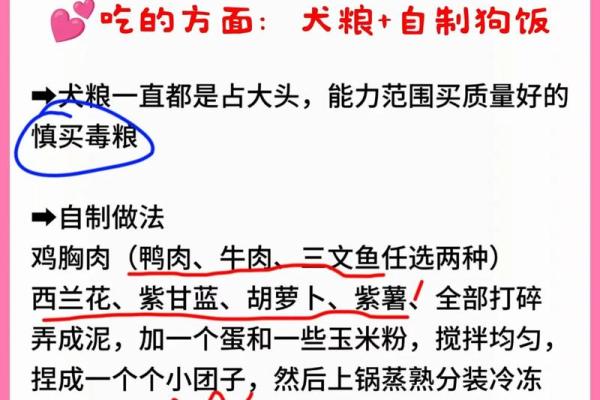 属狗的人做什么行业最赚钱？揭秘高收入方向