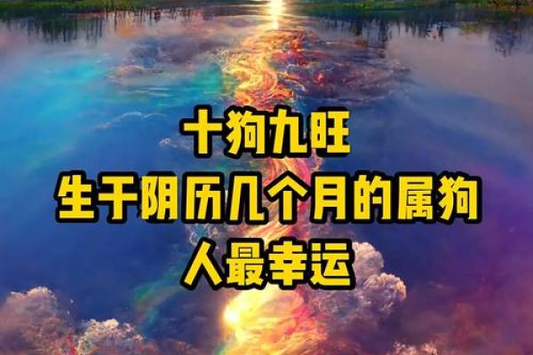 属狗的今年运势如何？财运提升关键在这几点