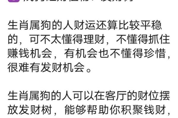 属狗的今年运势如何？财运提升关键在这几点