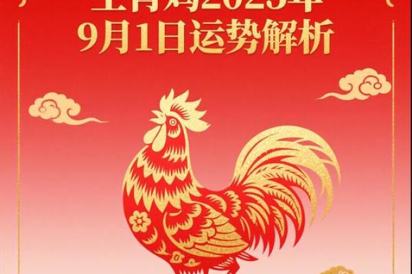 属鸡人2026年每月运势详解，农历网精准预测