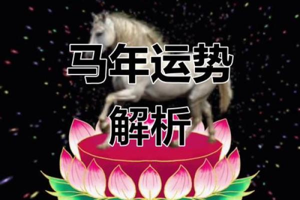 90年属马的是什么命？2024年运势详解