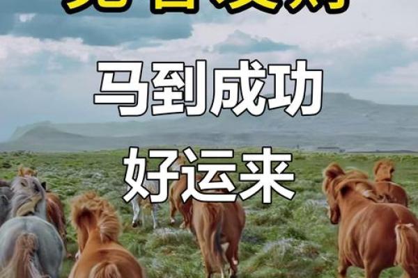 属马今年下半年事业运如何？3招提升职场运势