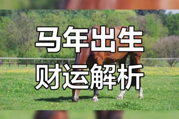 属马今年下半年事业运如何？3招提升职场运势