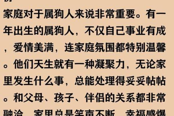 属狗人2024年贵人运如何?实用化解建议