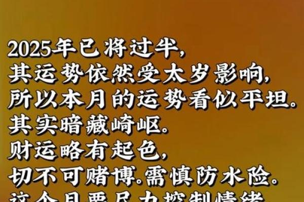 狗年2026年运势如何？事业财运全面解析