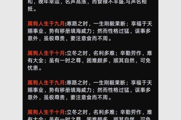 狗年2026年运势如何？事业财运全面解析