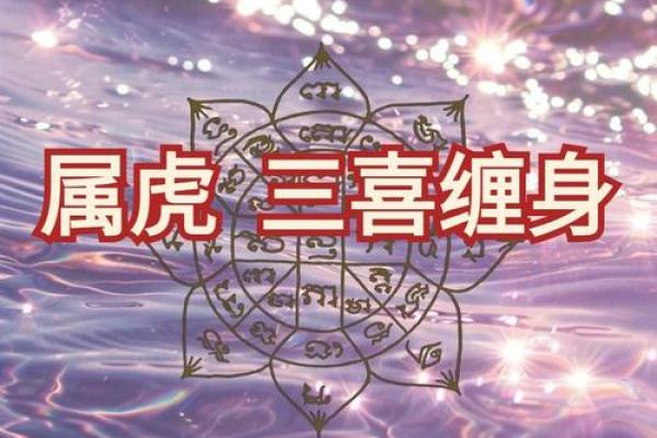 属虎今年财运如何?2024年赚钱机会在哪