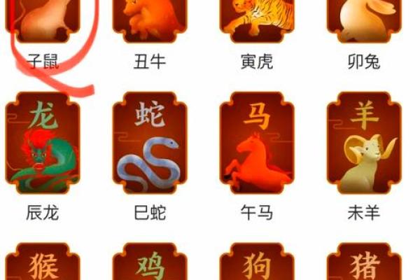 2026年属鼠人事业运如何？关键月份提醒