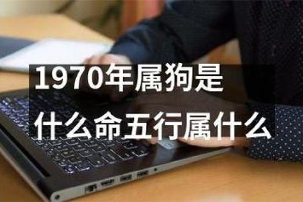 1970年属狗金命缺什么？五行补益实用指南