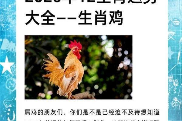 属鸡1981年2026年运势如何？事业财运详解