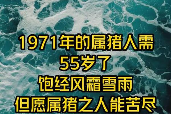 1971年属猪人寿命预测，关键因素有哪些？