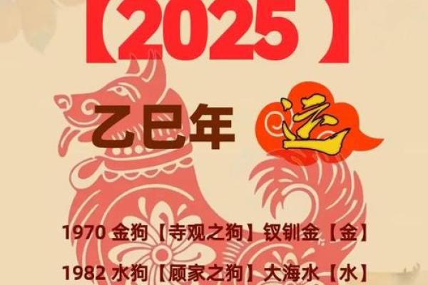 属狗人2026年运势如何？全年详解助你趋吉避凶
