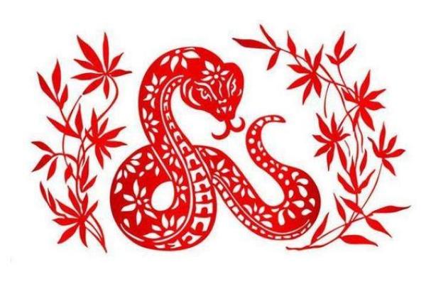 1953年属蛇人寿命多长？健康长寿秘诀揭秘