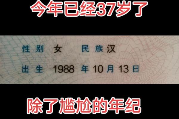 88年几月出生的龙最有福气?揭秘最佳月份 88年几月出生的龙最有福气?揭秘最佳月份