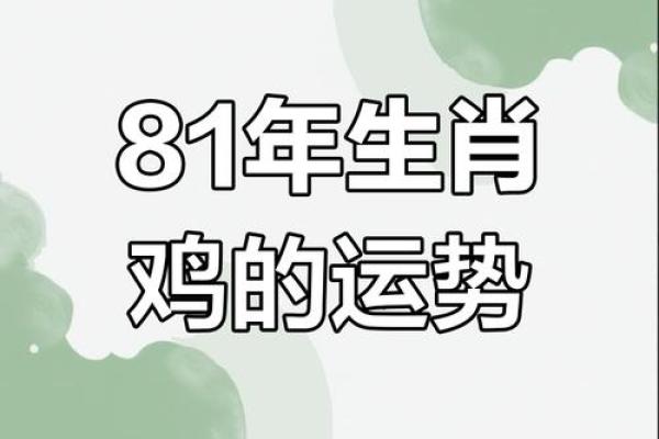 81年属鸡人2026年运势如何?全年运程详解