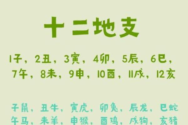 1993年属鸡是什么命？五行八字精准分析