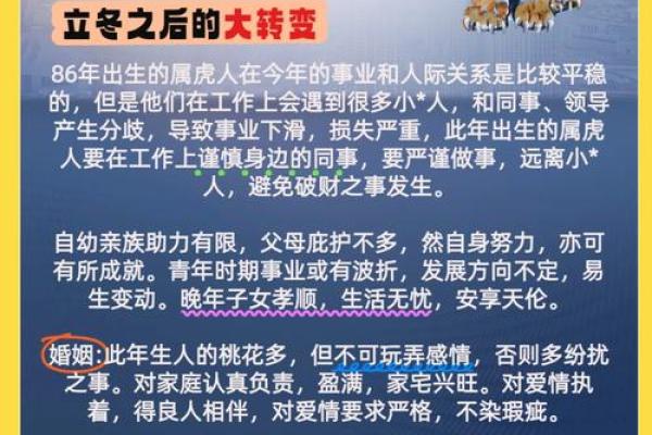 生肖虎2026年每月运势详解，助你趋吉避凶