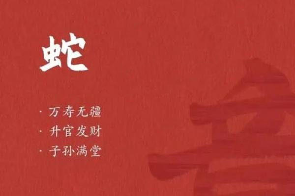 1965属蛇大忌颜色有哪些？避开这些更顺运