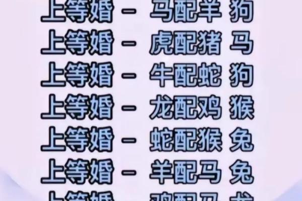 属鼠人2024幸运数字是几？速看避坑指南
