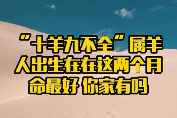 属羊不能穿的颜色有哪些？避开这3种更旺运