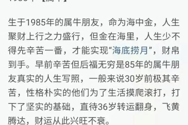 属牛1985海中金命运势如何？详解事业财运