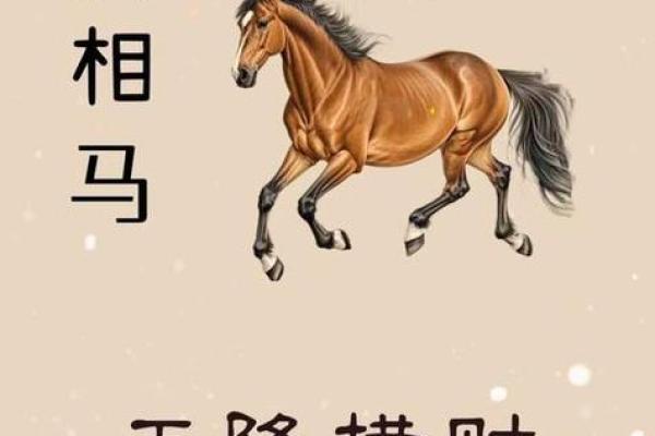 属马人2026年每月运势详解，全年运程早知道