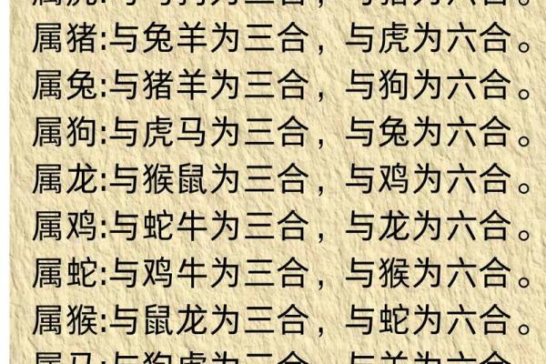 属狗的三合和六个合生肖有哪些？速查贵人运