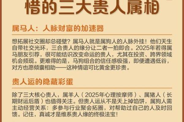 属狗的三合和六个合生肖有哪些？速查贵人运
