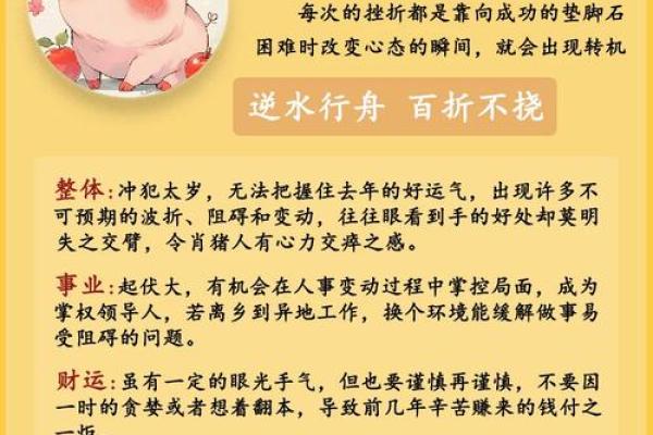 1983年猪女2026年运势如何?事业财运详解