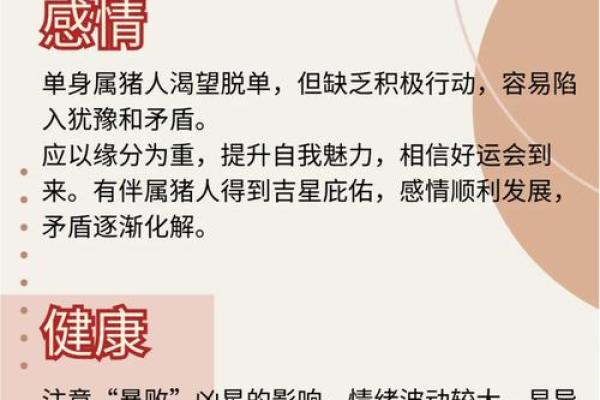 1983年猪女2026年运势如何?事业财运详解 1983年猪女2026年运势如何?事业财运详解